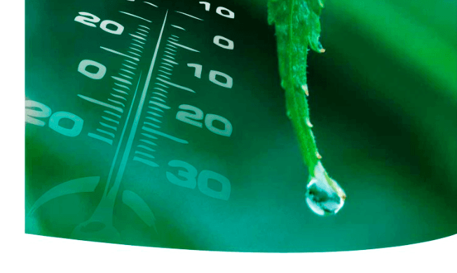 Kontrola vlage ilustrovana kapljicom koja pada sa lista i termometrom